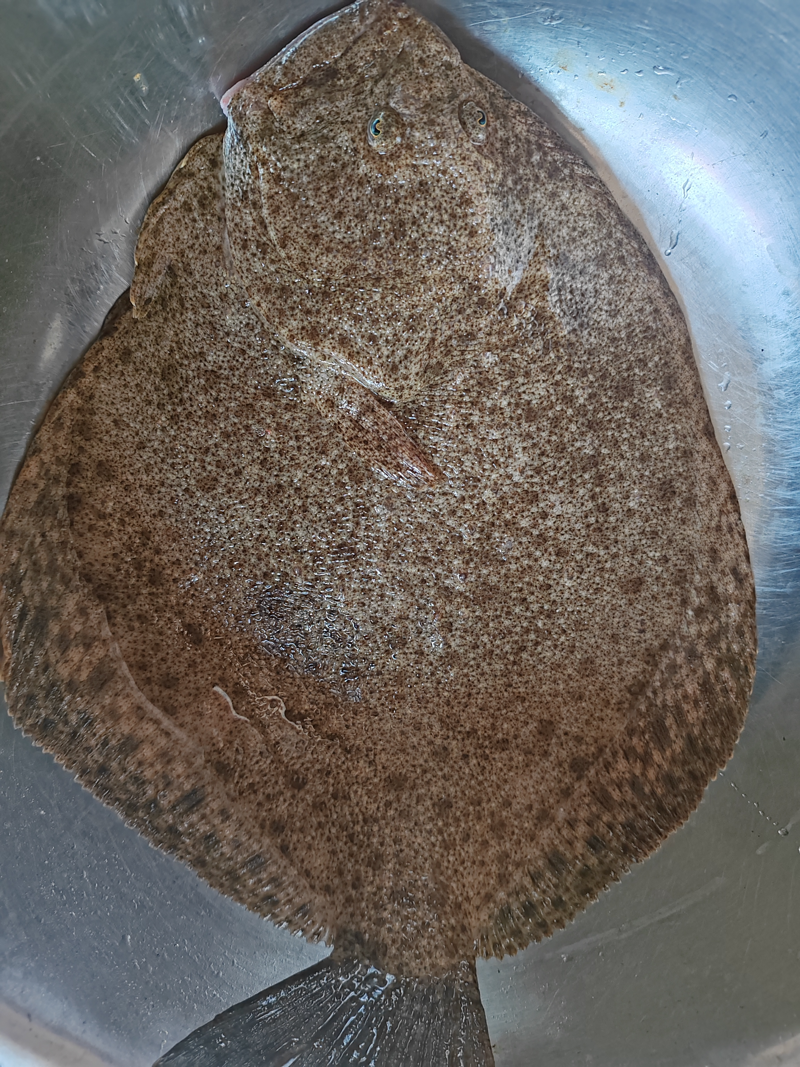 2025-09-14T15:56:34.png