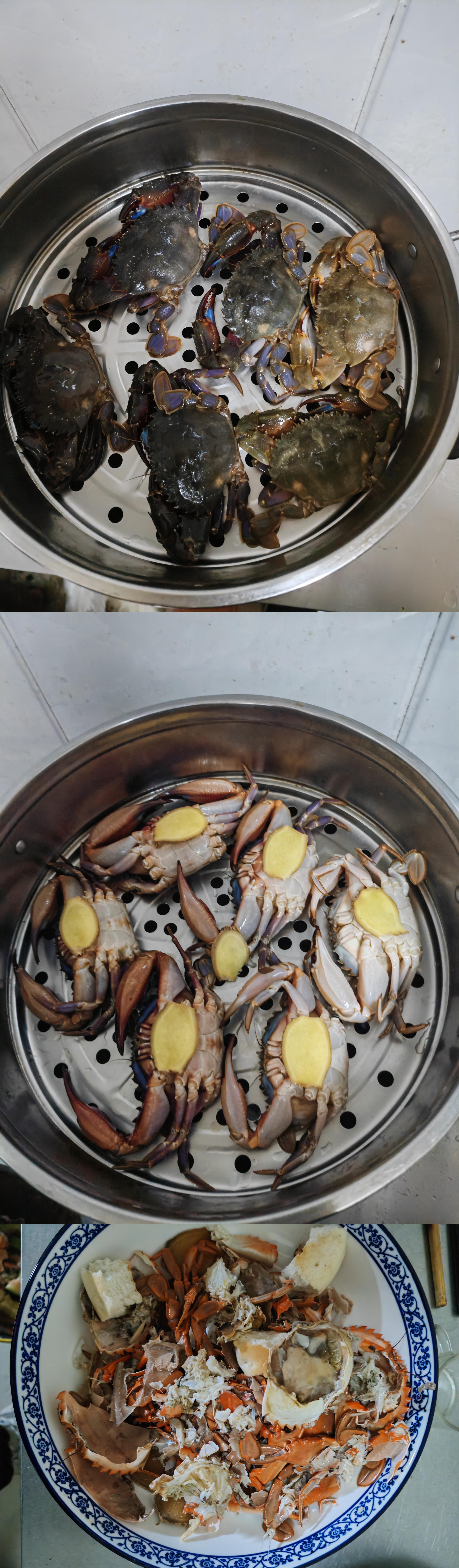 螃蟹(从青涩到成熟).jpg